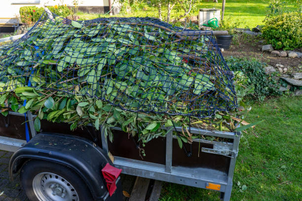 Best Dumpster Rental Services  in Choccolocco, AL